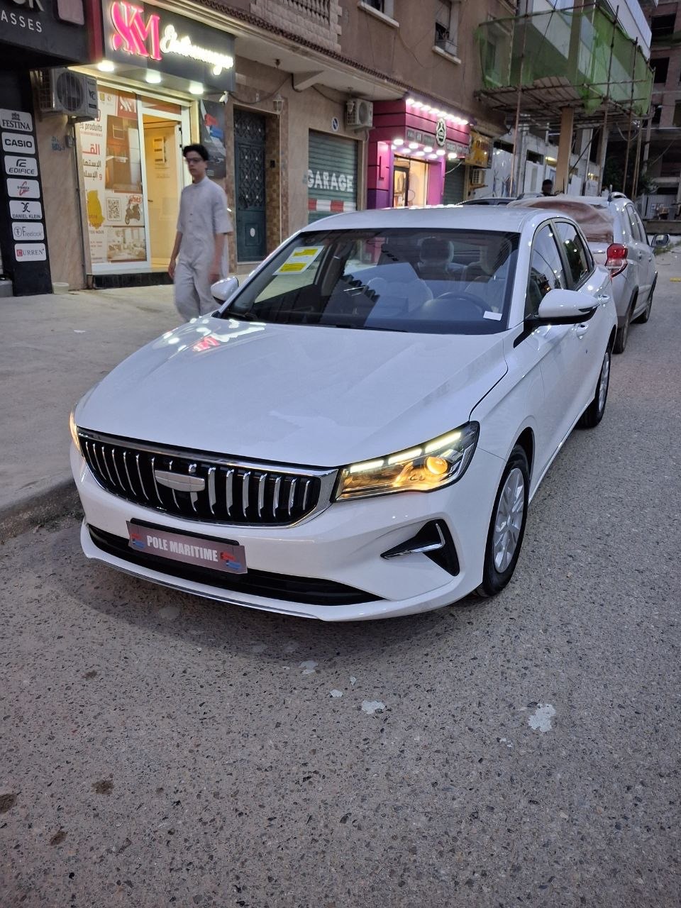 Geely Emgrand  manual 2026 14