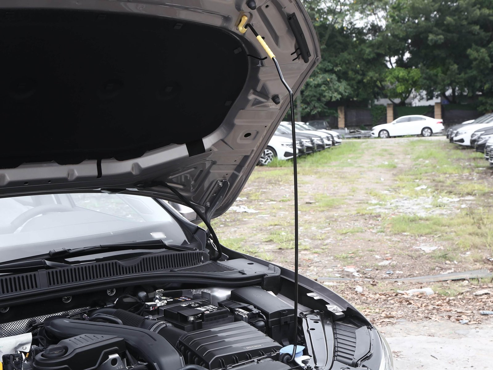 Volkswagen Sagitar 300TSI DSG Surpasses 2026 11