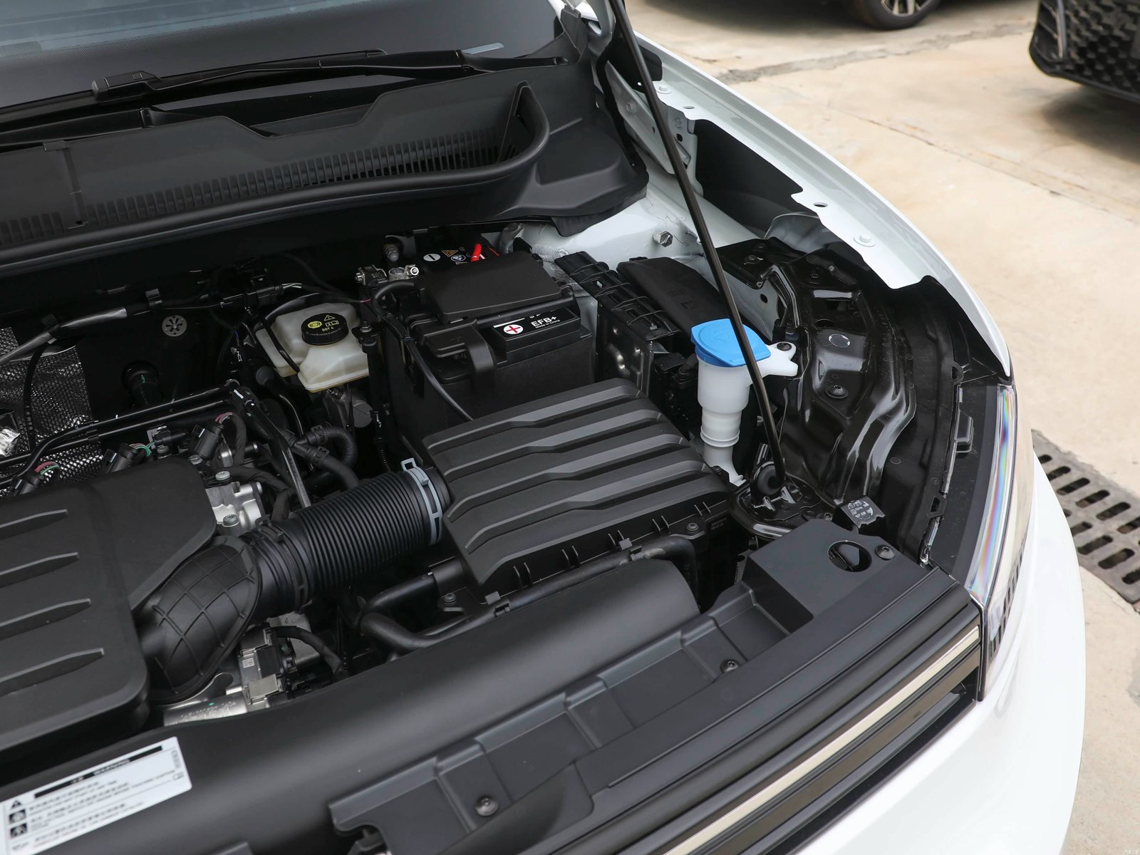 Volkswagen Tharu XR RUIJIN 2026 8